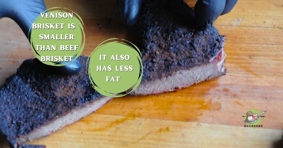 Smoked Venison Brisket (Wild Venison)