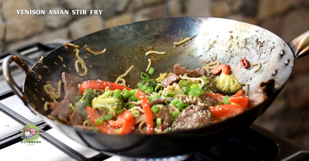 Asian Venison Recipes