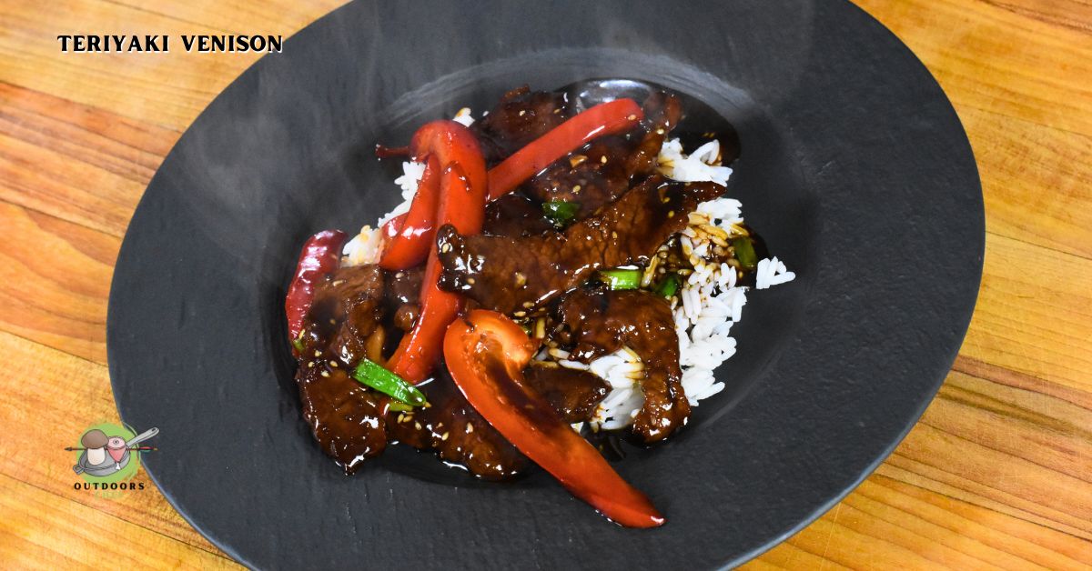 Asian Venison Recipes