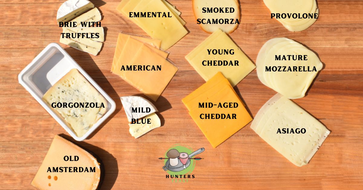 Best Cheese For Venison Burgers