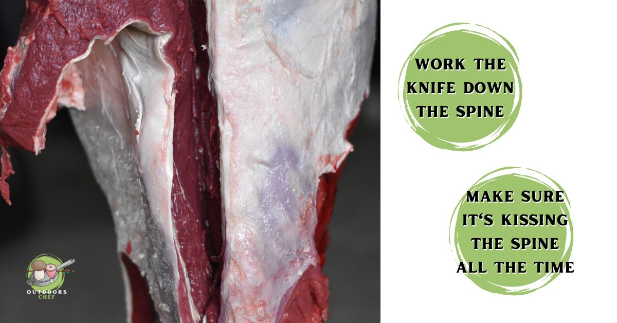 Best Cuts of Venison