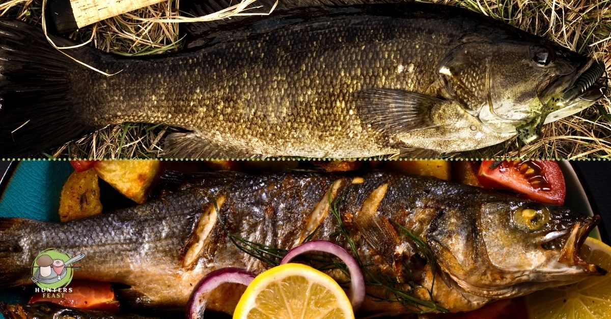 Can You Eat Smallmouth Bass