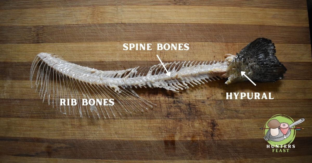 Can You Eat Trout Bones