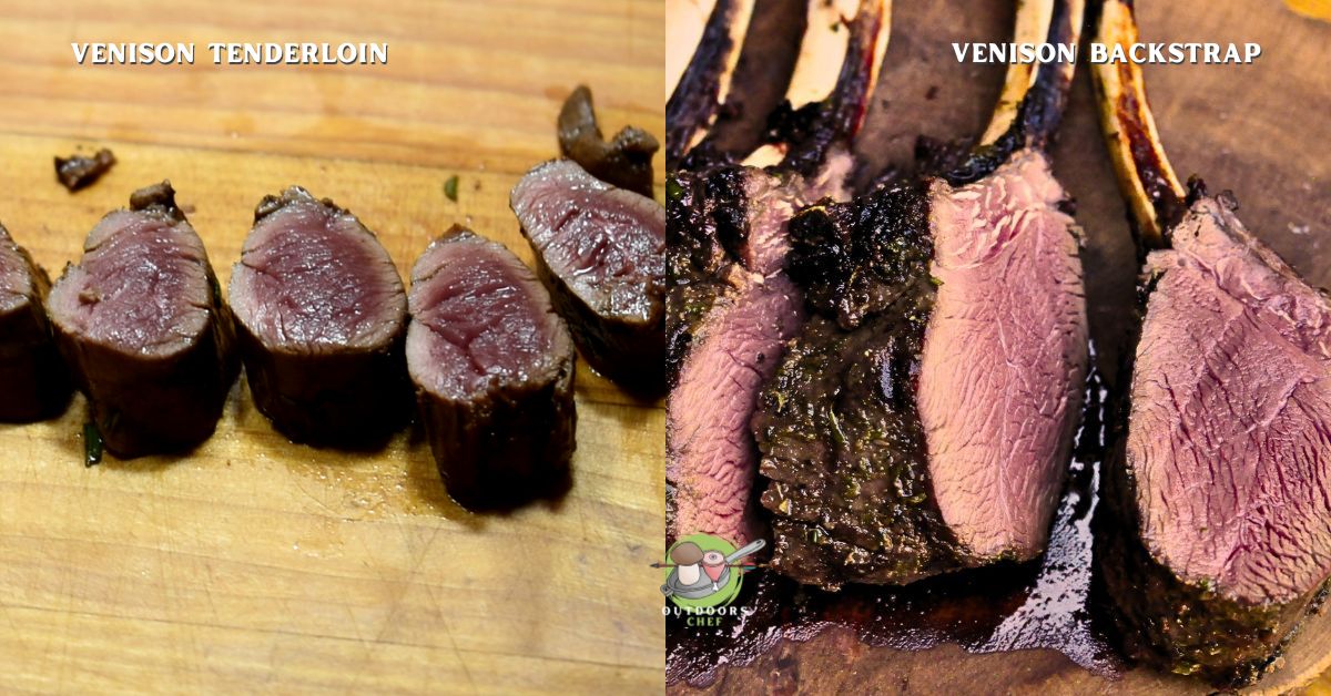 Can You Eat Venison Rare