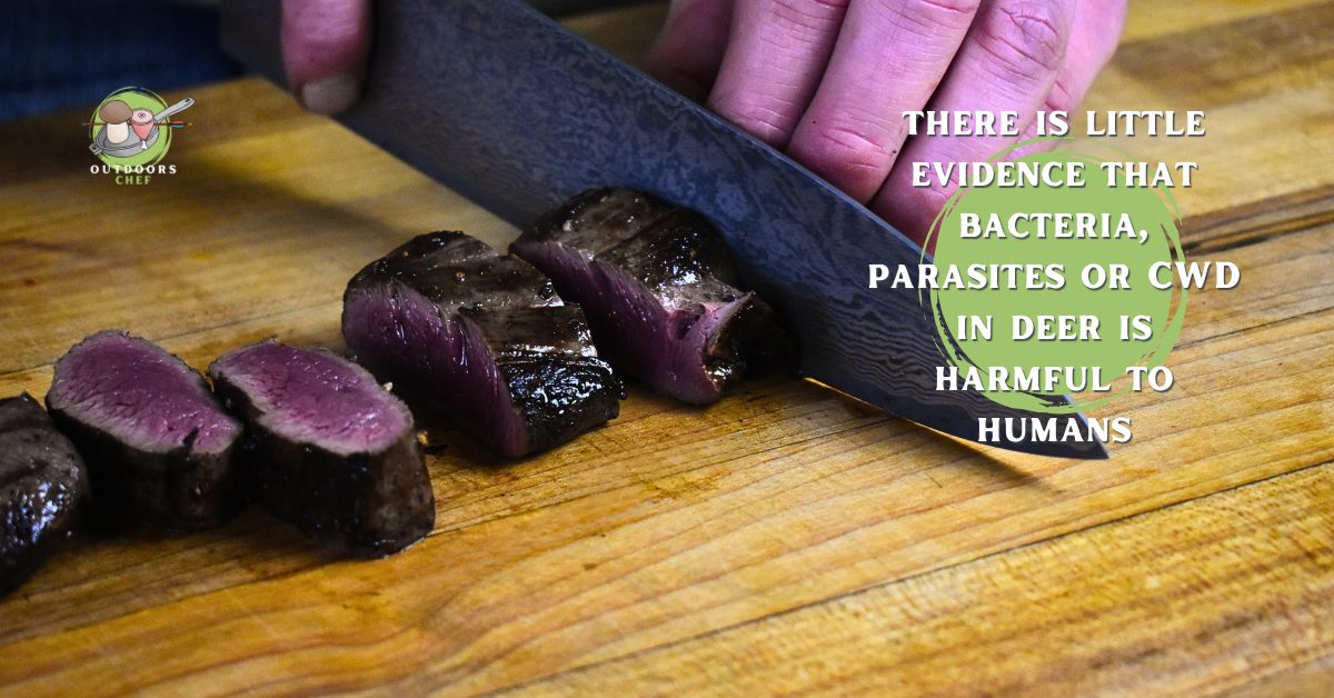 Can You Eat Venison Rare