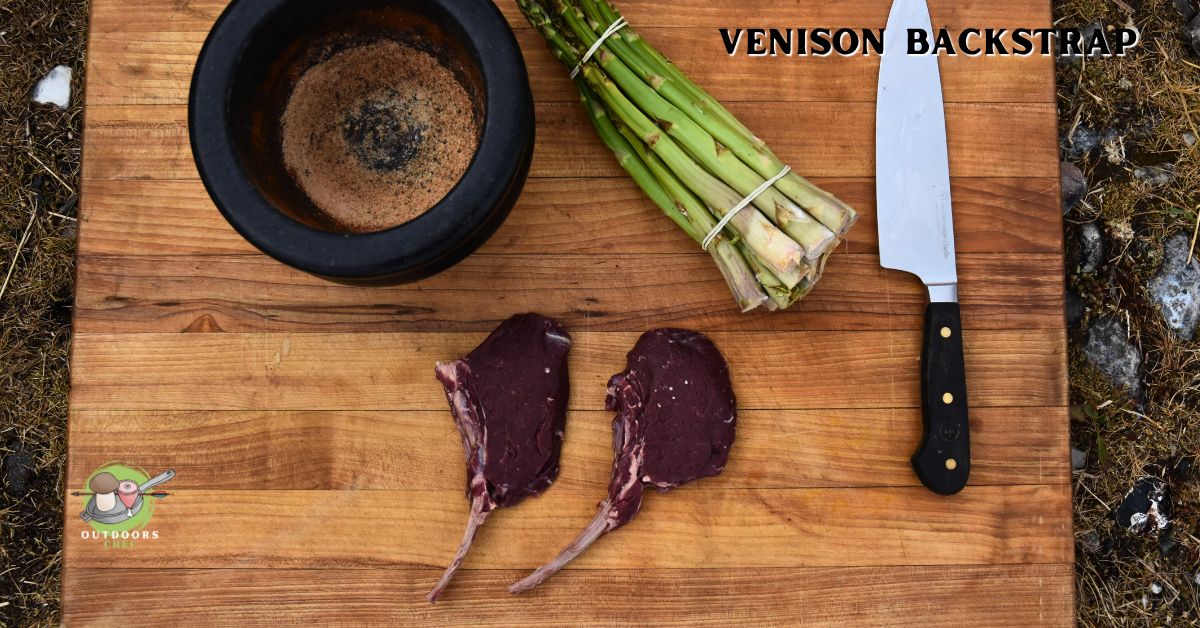 Cuts of Venison Explained (Every Cut)