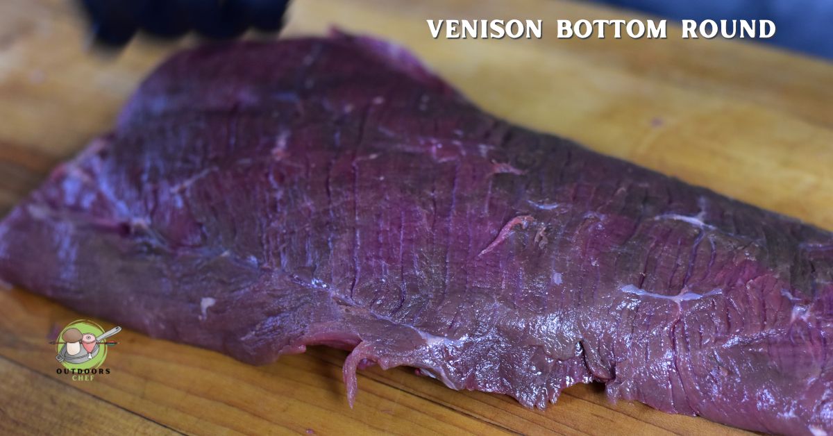 Cuts of Venison Explained (Every Cut)