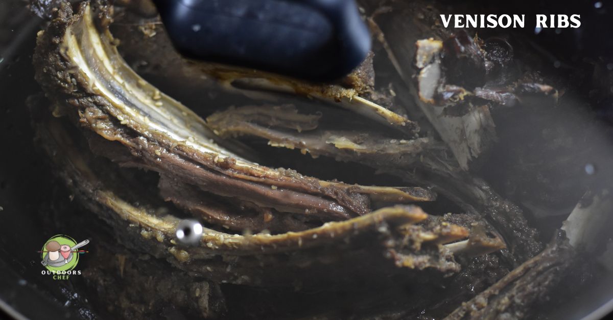 Cuts of Venison Explained (Every Cut)