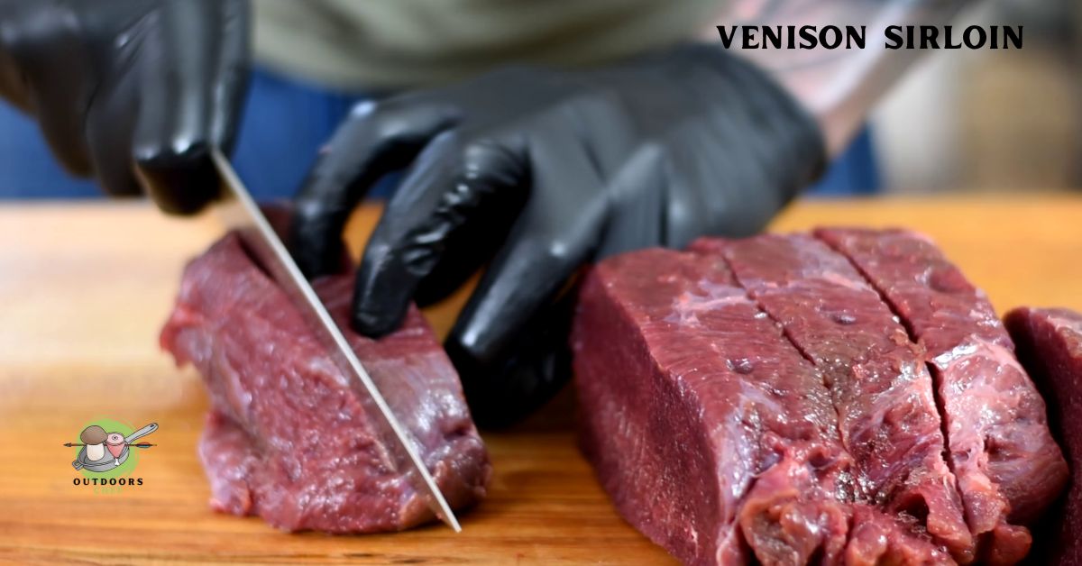 Cuts of Venison Explained (Every Cut)