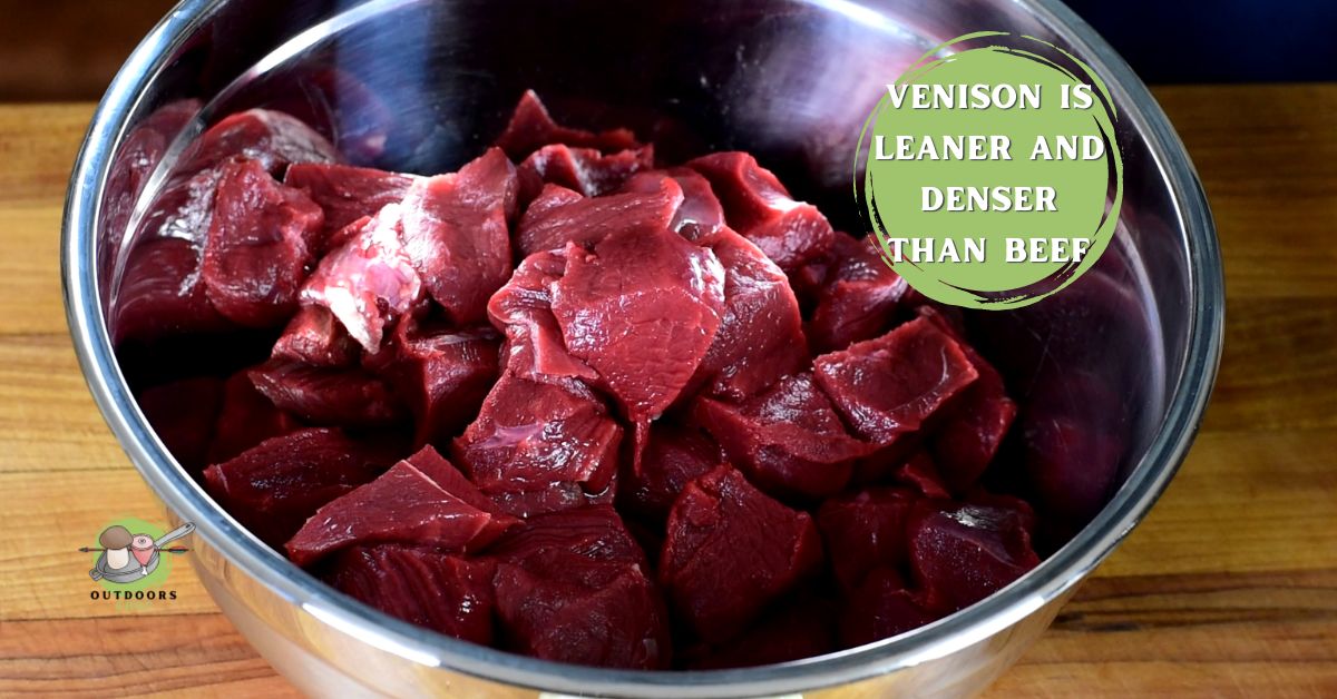 Does Venison Taste Like Beef