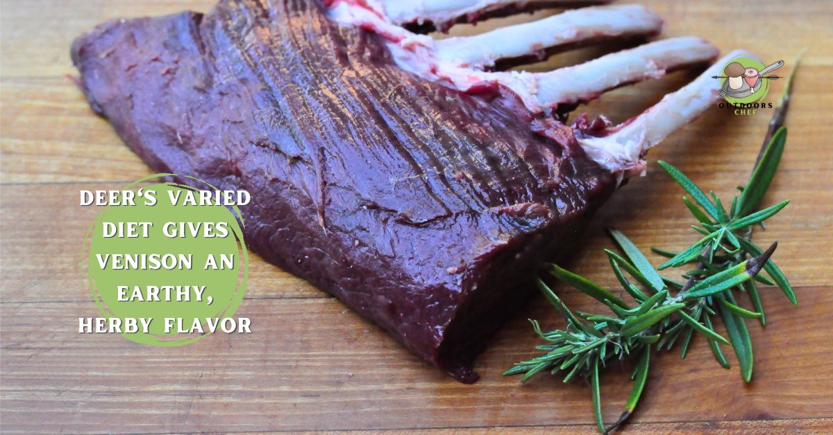 Does Venison Taste Like Beef