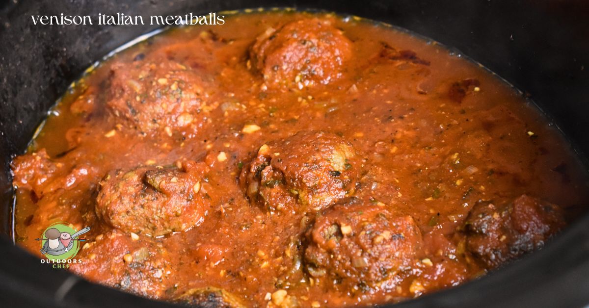 Ground Venison Recipes