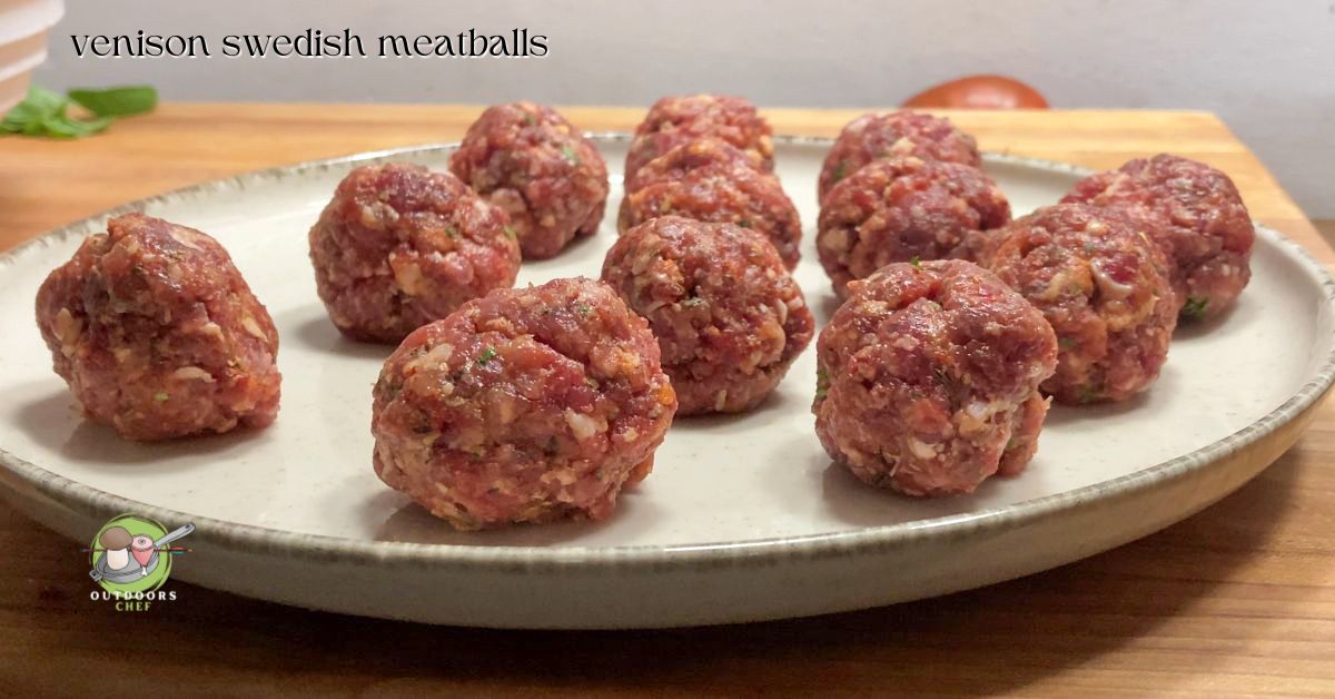 ground venison recipes