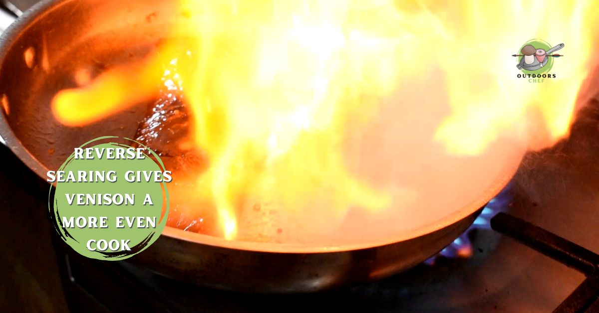 How to Cook Venison Backstrap