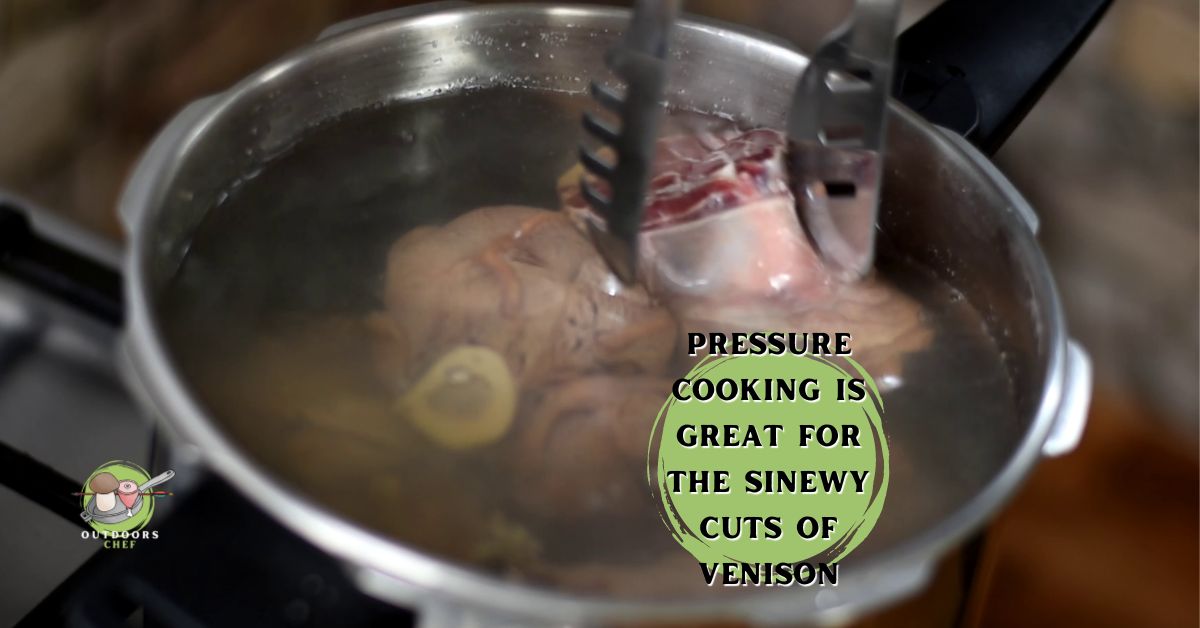 How to Cook Venison