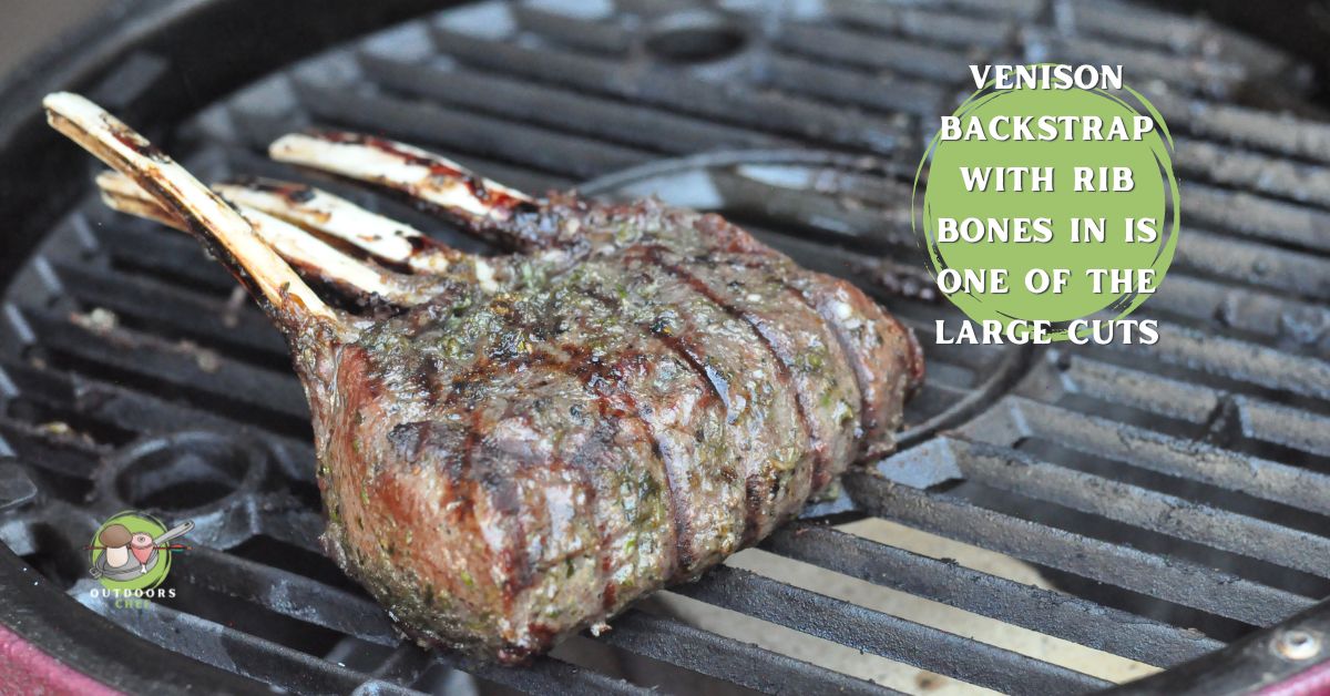 How to Cook Venison