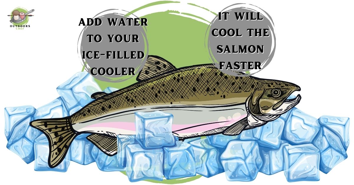 Salmon Smells Fishy But Not Expired