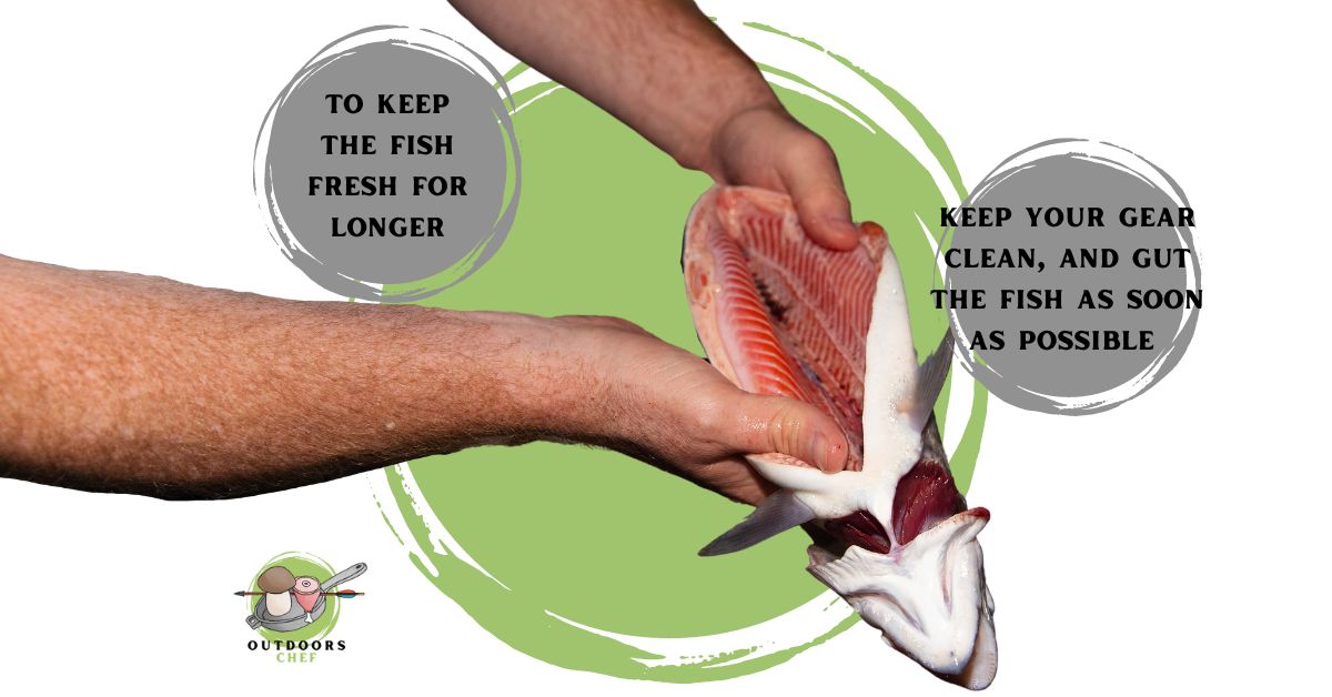 to keep it fresh for longer