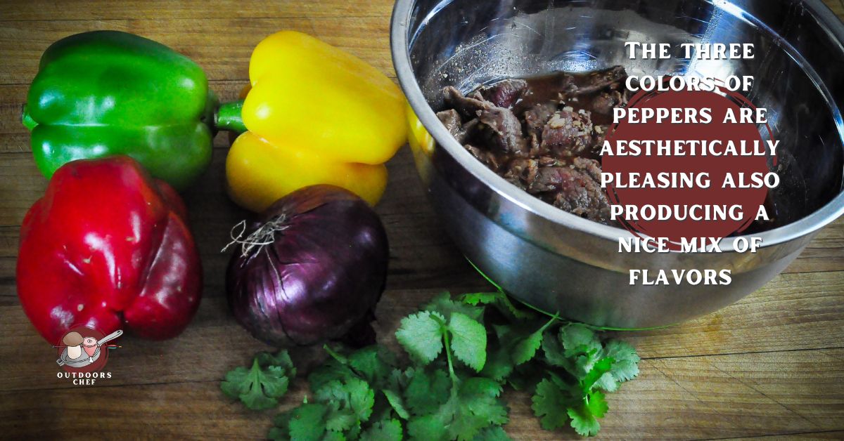 Simple Venison Fajitas