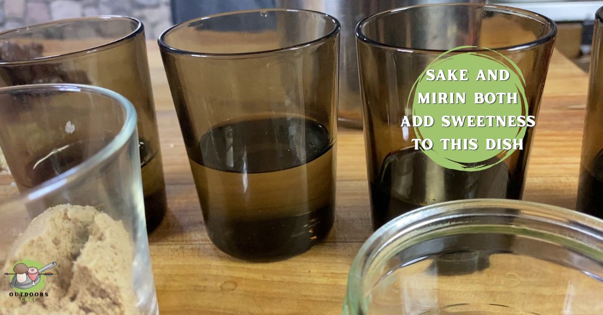 Venison Teriyaki Recipe