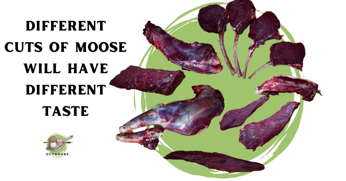 What Does Moose Meat Taste Like