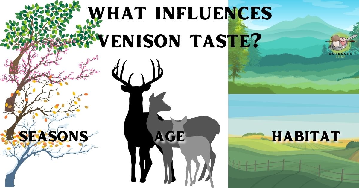 What does Venison Taste Like