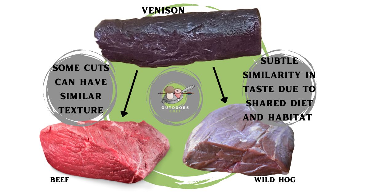 What does Venison Taste Like