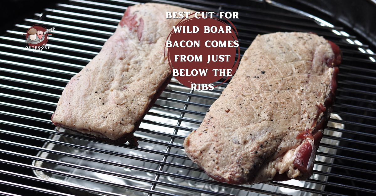 Wild Boar Bacon Smoked