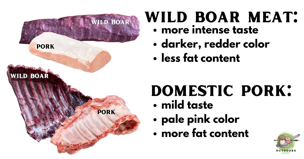 Wild Boar Meat Vs Domestic Pork